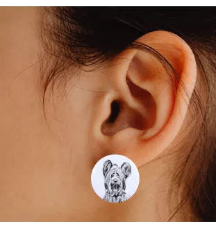 Silky Terrier - unique dog earrings, your pet on a keychain, Art-Dog's own brand