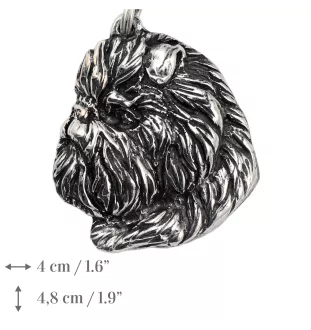 Affenpinscher - Halskette mit Hund, versilberter Anhänger für Hundefans, einzigartiger Schmuck der Marke Art-Dog