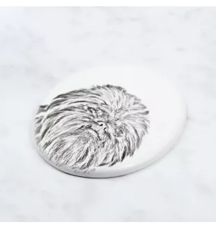 Affenpinscher - Gedenktafel mit einem Foto eines Hundes, Grabplatte mit Druck, personalisierte ovale Platte der Marke Art-Dog