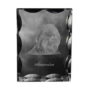 Affenpinscher, Affen, Affie - crystal with a picture of a dog, glass statuette with a picture, unique frame with a picture from Art-Dog brand