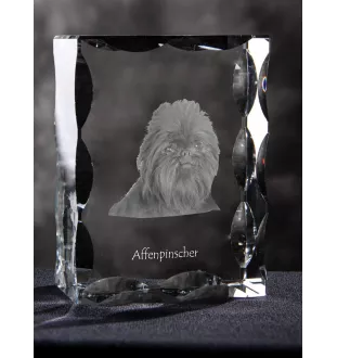 Affenpinscher, Affen, Affie - crystal with a picture of a dog, glass statuette with a picture, unique frame with a picture from Art-Dog brand