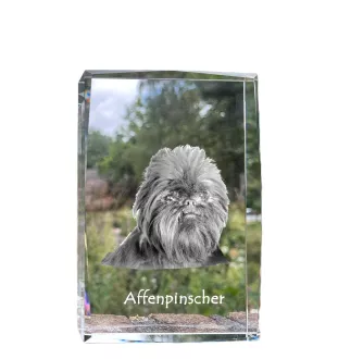 Affenpinscher - Kristall mit einem Hundebild, Bild im Glas, moderne Ausstellung des Art-Dog-Bildes.