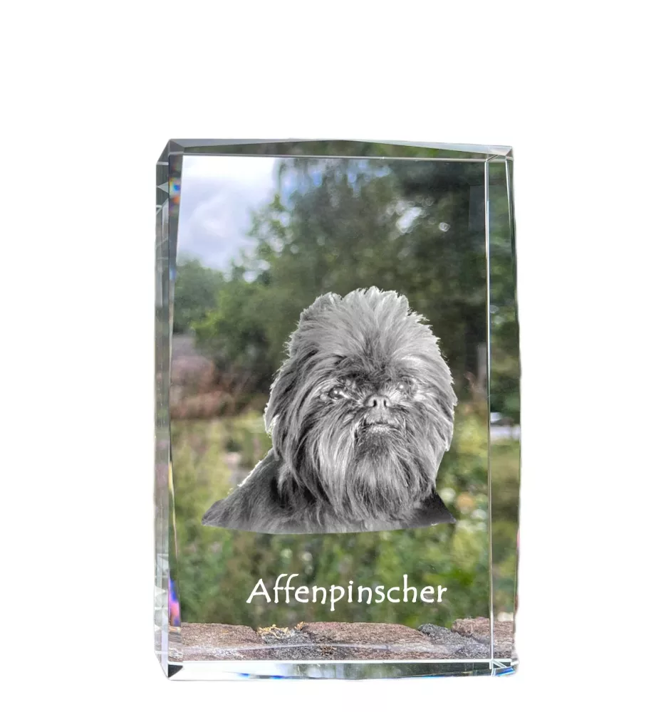 Affenpinscher - Kristall mit einem Hundebild, Bild im Glas, moderne Ausstellung des Art-Dog-Bildes.