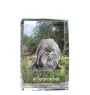 Affenpinscher - Kristall mit einem Hundebild, Bild im Glas, moderne Ausstellung des Art-Dog-Bildes.
