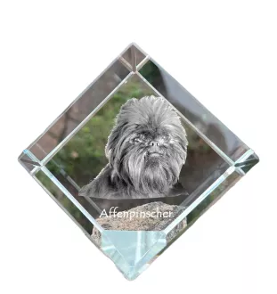Affenpinscher - un cube de cristal avec une photo, une photo de cheval dans le cristal, un presse-papiers cubique de la marque Art-Dog