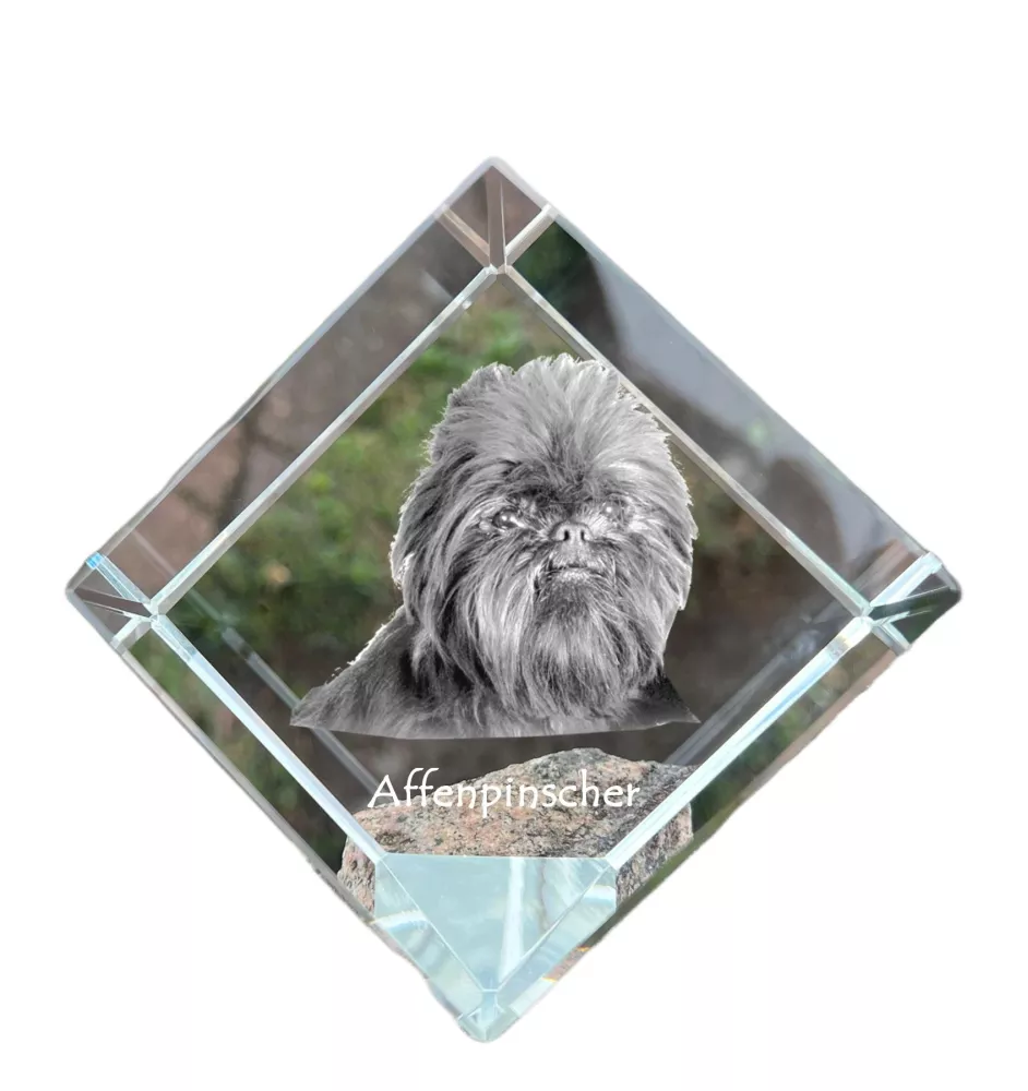 Affenpinscher - Kristallwürfel mit Bild, Pferdebild im Kristall, sechseckiger Papierclip der Marke Art-Dog