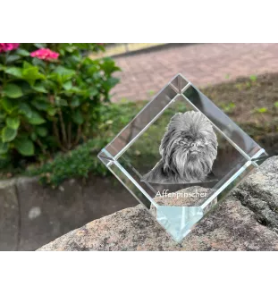 Affenpinscher - un cube de cristal avec une photo, une photo de cheval dans le cristal, un presse-papiers cubique de la marque Art-Dog