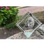 Affenpinscher - un cube de cristal avec une photo, une photo de cheval dans le cristal, un presse-papiers cubique de la marque Art-Dog