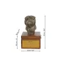 Affenpinscher - urne pour les cendres du chien avec une statuette, petite urne pour chien, urne personnalisée avec le buste du chien de la marque Art-Dog