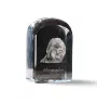 Affenpinscher, Affen, Affie - crystal cube with a photo, photo of a dog in crystal, cubic paperweight from Art-Dog brand