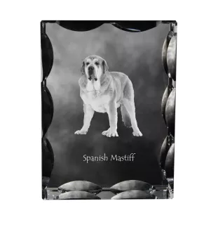 Spanischer Mastiff, Mastín aus León - Kristall mit einem Hundebild, Glasstatuette mit einem Bild, einzigartiger Bilderrahmen der Marke Art-Dog