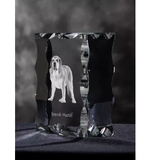 Spanischer Mastiff, Mastín aus León - Kristall mit einem Hundebild, Glasstatuette mit einem Bild, einzigartiger Bilderrahmen der Marke Art-Dog