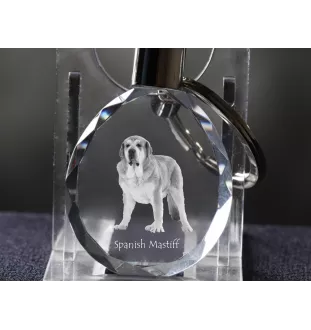 Mâtin espagnol, Mastin Leones - pendentif avec une photo de chien, porte-clés en cristal dans une boîte cadeau, un cadeau unique par Art-Dog