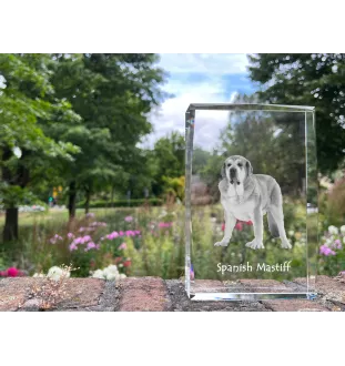 Mâtin espagnol, Mastin Leones - cristal avec une photo de chien, photo sous verre, exposition moderne de la marque de photos Art-Dog