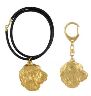 Mâtin espagnol, Mastin Leones - porte-clés et collier avec chien dans une boîte, produit plaqué or de haute qualité, marque Art-Dog