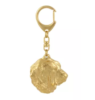 Mâtin espagnol, Mastin Leones - porte-clés et collier avec chien dans une boîte, produit plaqué or de haute qualité, marque Art-Dog