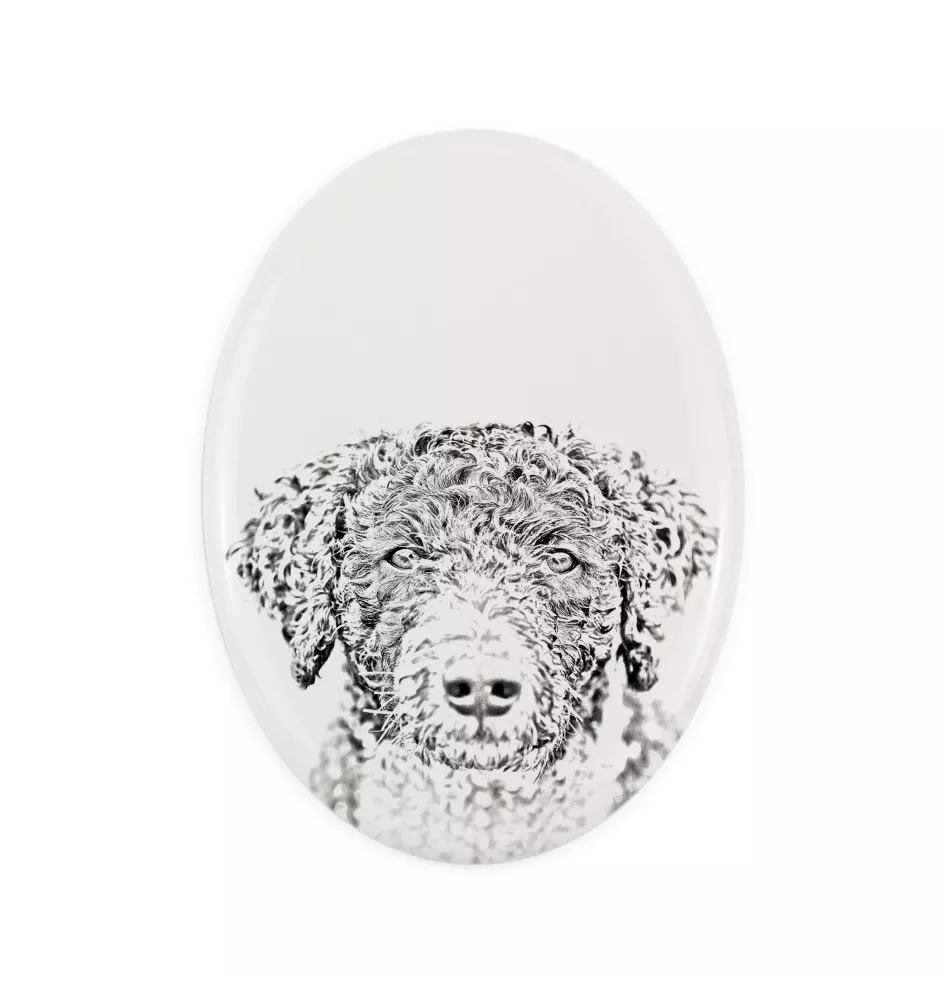 Spanischer Wasserhund, Andalusischer Türke, Türkenhund - Gedenktafel mit einem Foto eines Hundes, Grabplatte mit Druck, personalisierte ovale Platte der Marke Art-Dog