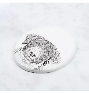 Spanish Water Dog - commemorative plaque with a photo of a dog, tombstone with a print, personalized oval plaque from the Art-Dog brand