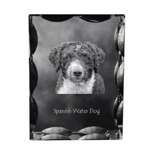 Spanischer Wasserhund, Andalusischer Türke, Türkenhund - Kristall mit einem Hundebild, Glasstatuette mit einem Bild, einzigartiger Bilderrahmen der Marke Art-Dog
