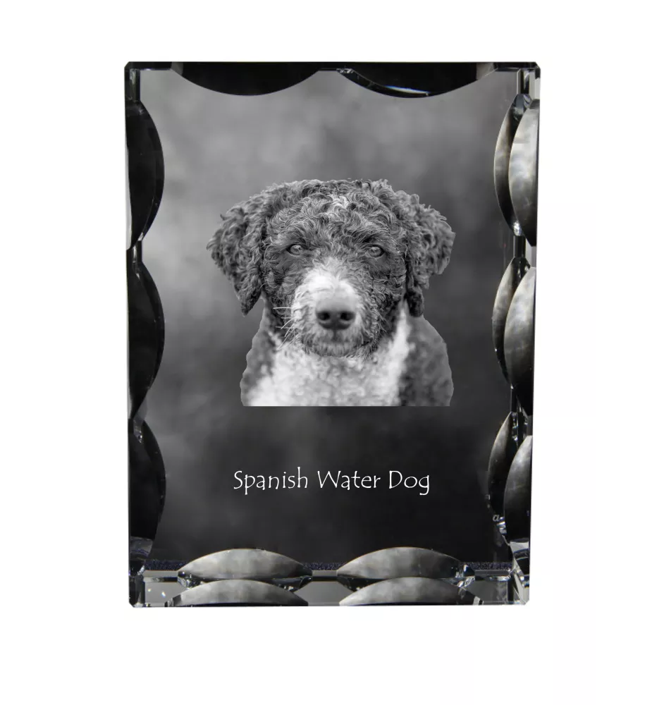 Hiszpański pies dowodny ramka kryształowa z psem Art-Dog