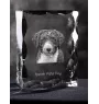 Spanischer Wasserhund, Andalusischer Türke, Türkenhund - Kristall mit einem Hundebild, Glasstatuette mit einem Bild, einzigartiger Bilderrahmen der Marke Art-Dog