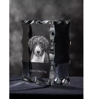 Spanischer Wasserhund, Andalusischer Türke, Türkenhund - Kristall mit einem Hundebild, Glasstatuette mit einem Bild, einzigartiger Bilderrahmen der Marke Art-Dog