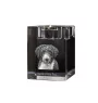 Spanish Water Dog - Candle holder with dog photo, crystal tealight holder, personalised gift by Art-Dog brand