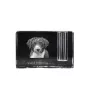 Spanish Water Dog - Pen stand, crystal organiser with dog photo, unique desk decoration by Art-Dog brand