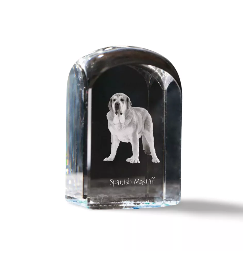 Mâtin espagnol, Mastin Leones - un cube de cristal avec une photo, une photo de chien dans le cristal, un presse-papiers cubique de la marque Art-Dog