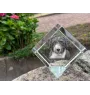Chien d'eau espagnol, Chien turc - un cube de cristal avec une photo, une photo de cheval dans le cristal, un presse-papiers cubique de la marque Art-Dog