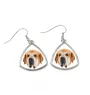 Mâtin espagnol, Mastin Leones - boucles d'oreilles avec une photo et un motif de chien géométrique Art-Dog