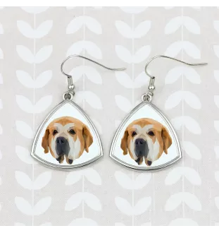 Mâtin espagnol, Mastin Leones - boucles d'oreilles avec une photo et un motif de chien géométrique Art-Dog