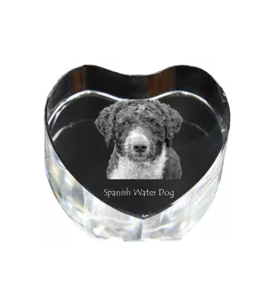 Chien d'eau espagnol, Chien turc - une photo de chien dans un cristal, un cœur en cristal, un cadre photo exceptionnel de la marque Art-Dog