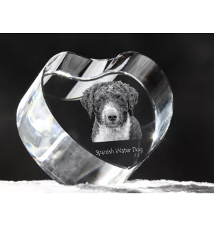 Chien d'eau espagnol, Chien turc - une photo de chien dans un cristal, un cœur en cristal, un cadre photo exceptionnel de la marque Art-Dog