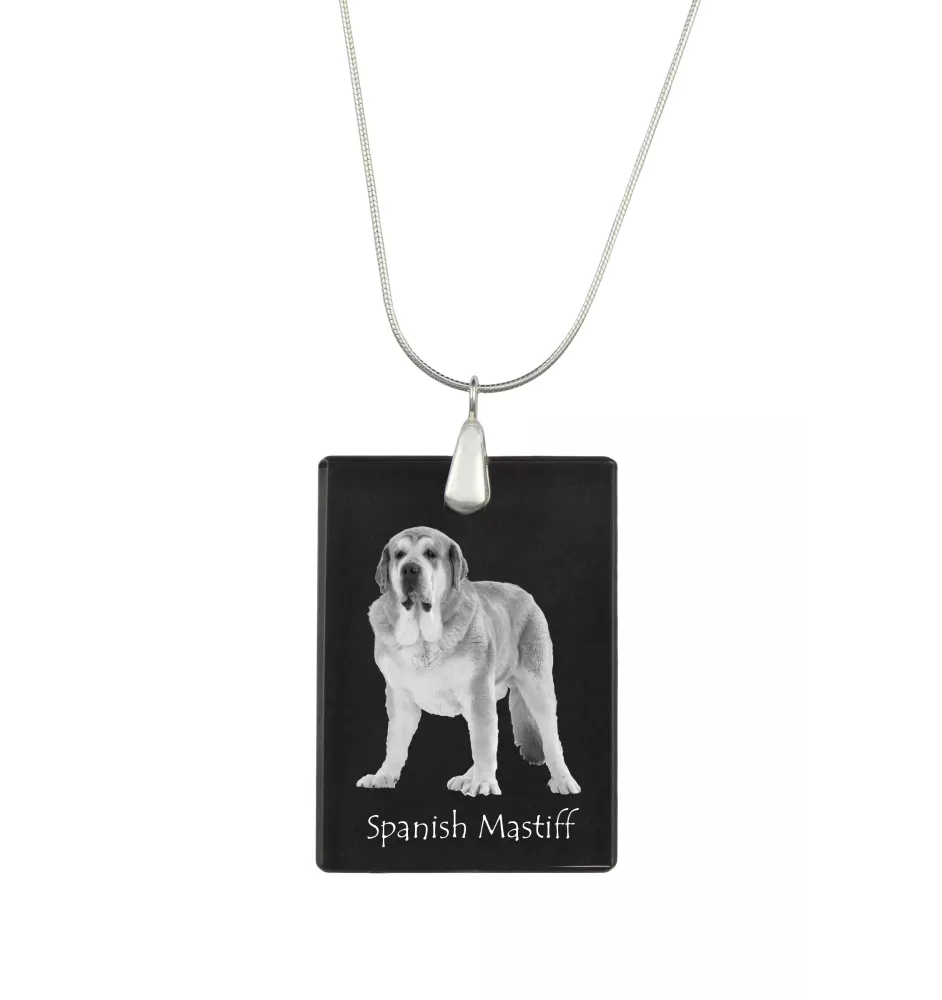 Mâtin espagnol, Mastin Leones - Pendentif en cristal avec chien, collier en argent avec photo, pendentif personnalisé par la marque Art-Dog