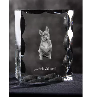 Swedish Vallhund, Swedish Cattle Dog, Swedish Shepherd - crystal with a picture of a dog, glass statuette with a picture, unique frame with a picture from Art-Dog brand