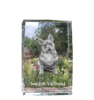 Swedish Vallhund, Swedish Cattle Dog, Swedish Shepherd - crystal with a picture of a dog, photo in glass, modern exhibition of Art-Dog brand photo