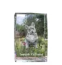 Vallhund suédois, Spitz des Wisigoths, Spitz des Visigoths - cristal avec une photo de chien, photo sous verre, exposition moderne de la marque de photos Art-Dog
