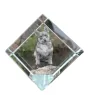 Swedish Vallhund, Swedish Cattle Dog, Swedish Shepherd - crystal cube with a photo, photo of a horse in crystal, cubic paperweight from Art-Dog brand