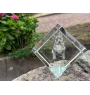 Swedish Vallhund, Swedish Cattle Dog, Swedish Shepherd - crystal cube with a photo, photo of a horse in crystal, cubic paperweight from Art-Dog brand
