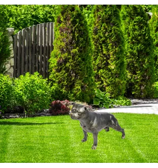 Staffordshire Bull Terrier, Staffordshire Bullterrier - Lebensgroße Hundestatue, Figur im Maßstab 1:1, Statue für den Garten von Art-Dog
