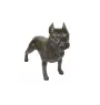 Staffordshire Bull Terrier, Staffy I - Life-size dog statue, 1:1 scale figure, statue for the garden by Art-Dog