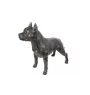 Staffordshire Bull Terrier, Staffie I - Statue de chien à l'échelle 1:1, statue pour le jardin par Art-Dog