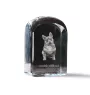 Vallhund suédois, Spitz des Wisigoths, Spitz des Visigoths - un cube de cristal avec une photo, une photo de chien dans le cristal, un presse-papiers cubique de la marque Art-Dog