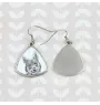 Vallhund suédois, Spitz des Wisigoths, Spitz des Visigoths - boucles d'oreilles avec chien, boucles d'oreilles pendantes avec photo, bijoux personnalisés avec impression de la marque Art-Dog