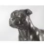 Staffordshire Bull Terrier, Staffy - exclusive dog figurine, luxury interior decoration, limited edition figures from the Art-Dog brand