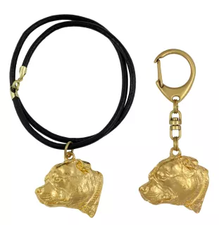 Staffordshire Bull Terrier, Staffie III - porte-clés et collier avec chien dans une boîte, produit plaqué or de haute qualité, marque Art-Dog