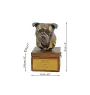 Staffordshire Bull Terrier, Staffie I - urne pour les cendres du chien avec une statuette, petite urne pour chien, urne personnalisée avec le buste du chien de la marque Art-Dog