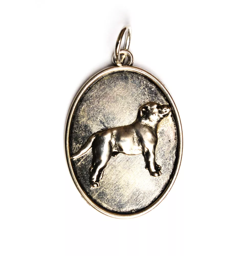 Staffordshire Bull Terrier, Staffy II - necklace with a dog, pendant for a dog mom, unique jewelry from the Art-Dog brand