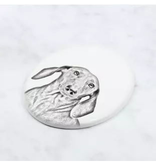 Dachshund Rauhhaar, Dackel, Teckel - Gedenktafel mit einem Foto eines Hundes, Grabplatte mit Druck, personalisierte ovale Platte der Marke Art-Dog